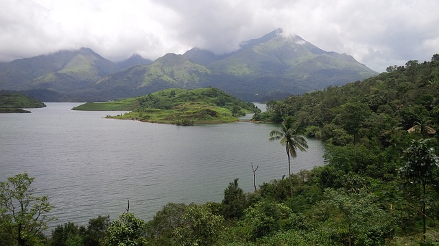 wayanad-famous-for-hills