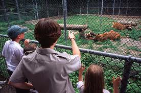 cherry-broke-zoo-canada