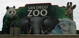 san-diego-zoo