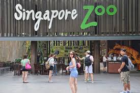 singapore-zoo-asia