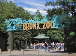 the-bronx-zoo-new-york