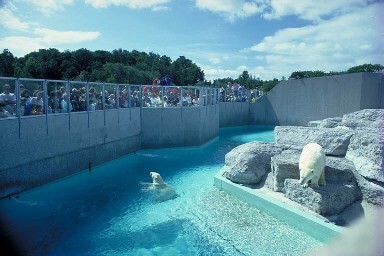 toronto-zoo-canada