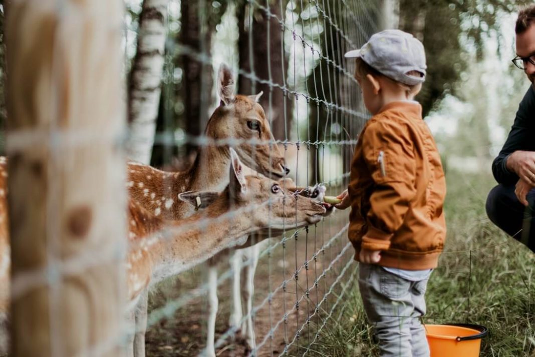 worlds-famous-zoos