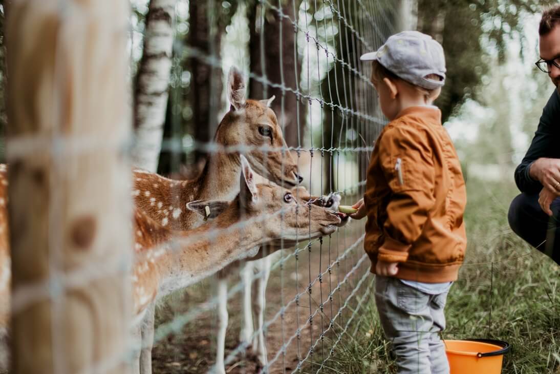 worlds-famous-zoos