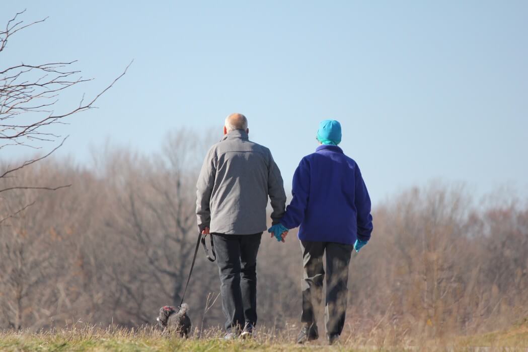 cbd benefits for seniors
