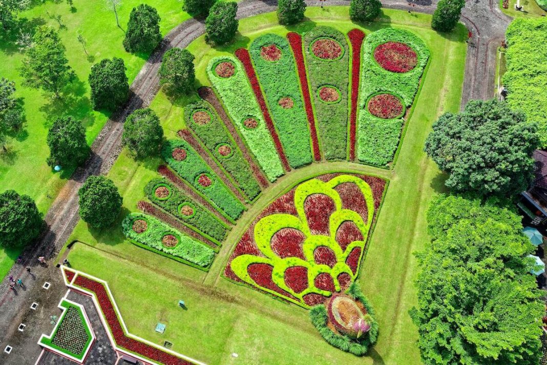 Creative Garden Design Ideas