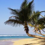 Punta Cana - perfect vacation destination