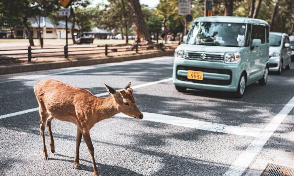 Safety Tips While Travel in Car