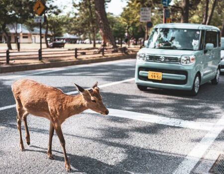 Safety Tips While Travel in Car