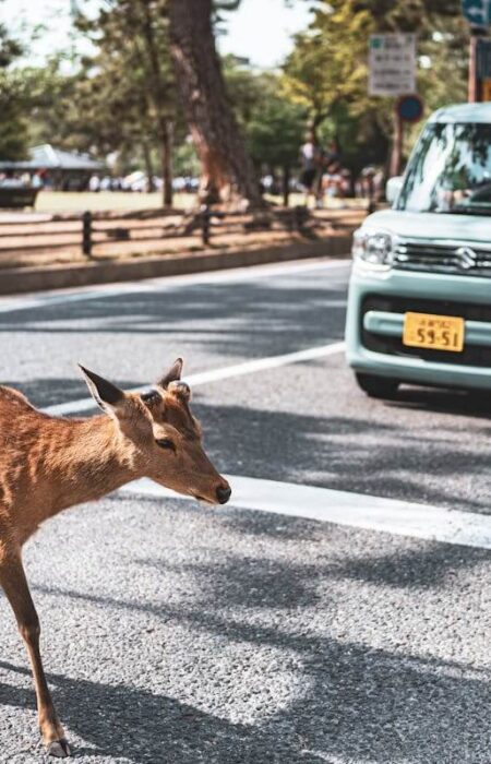 Safety Tips While Travel in Car